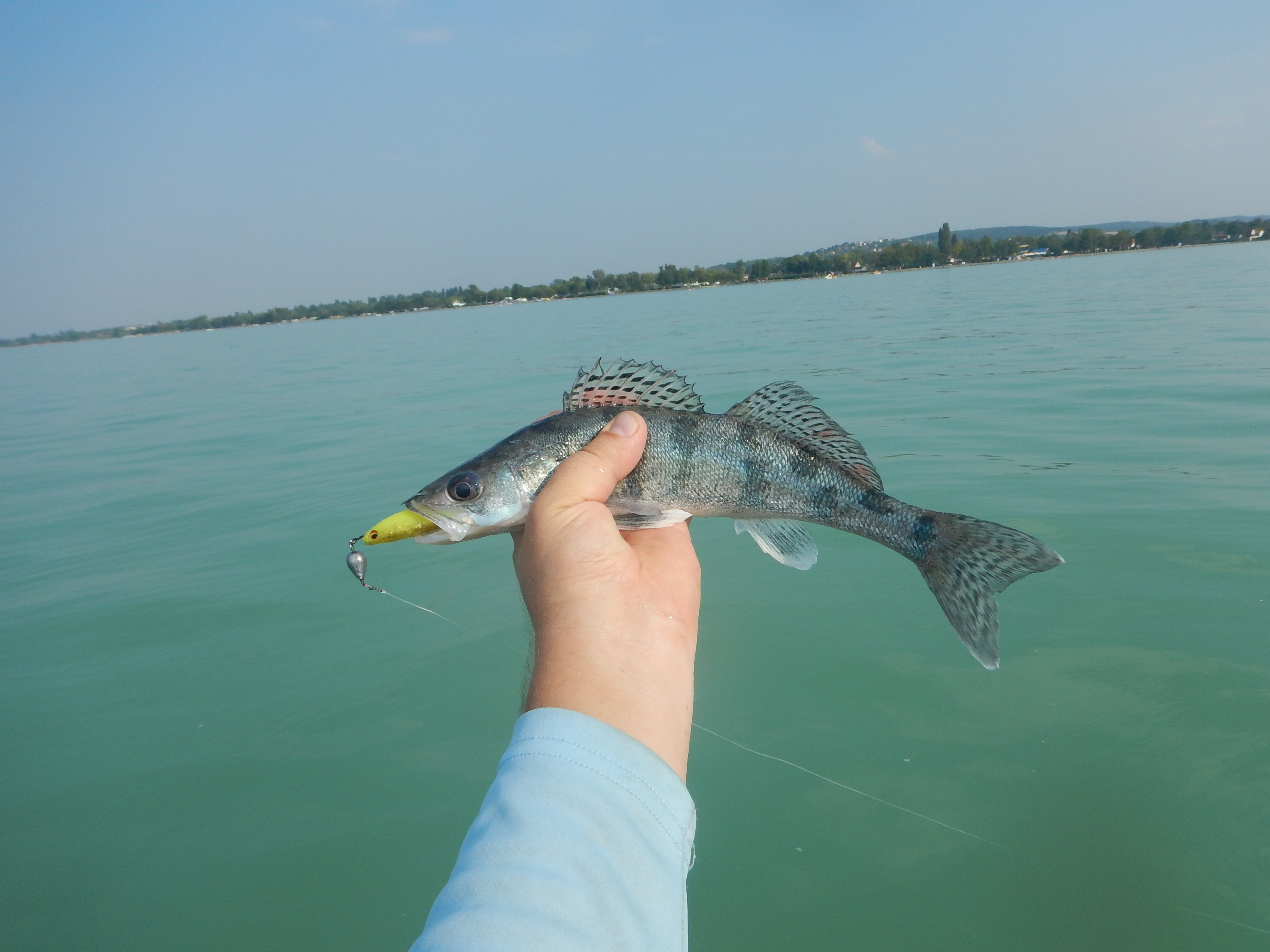 Kajakos kősüllő Balatonból